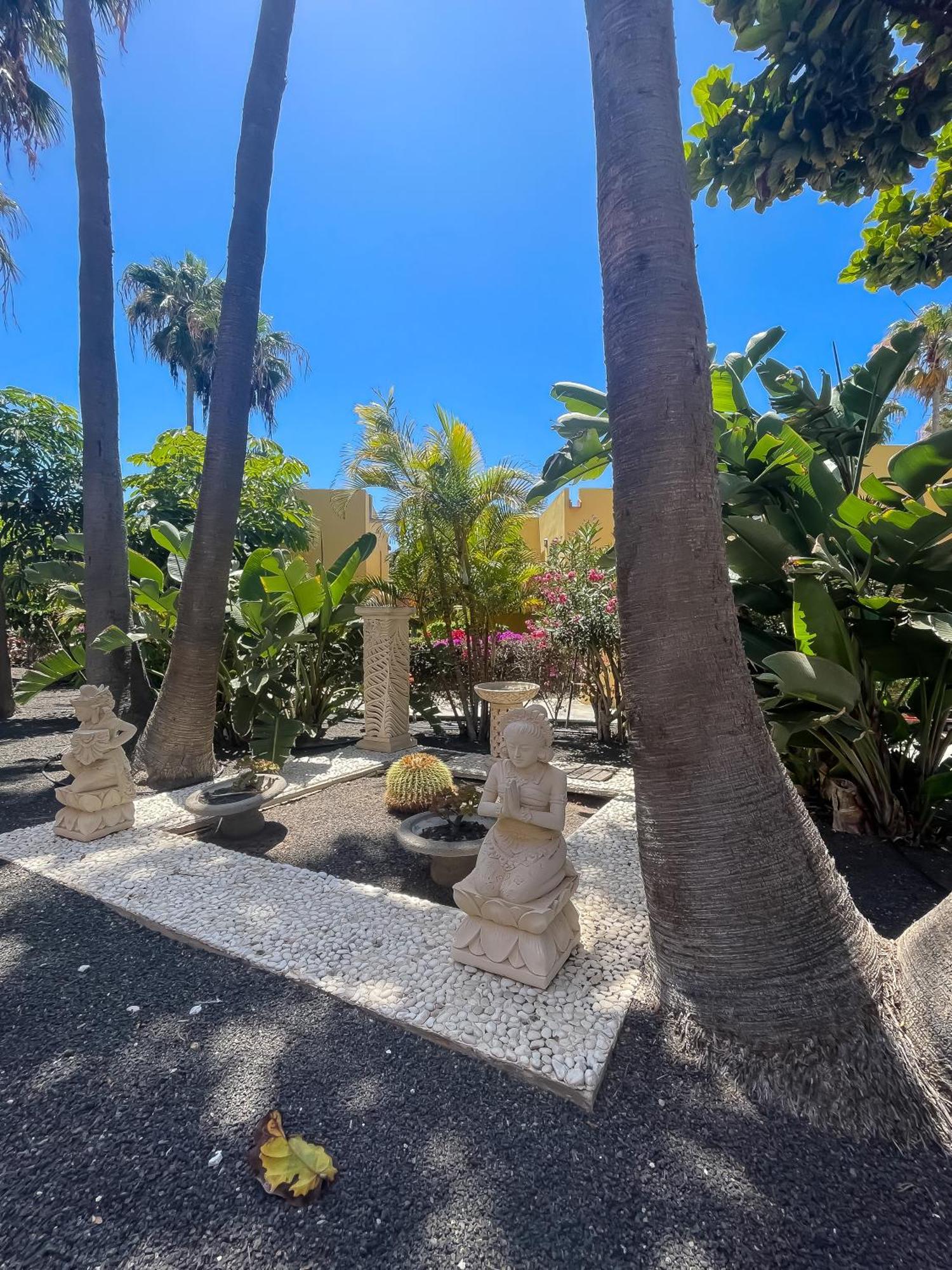 Apartamento B-Rent Atlantic Garden 181 Corralejo Exterior foto